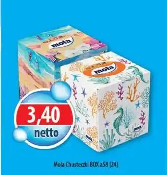DUO-TES Mola Chusteczki BOX oferta