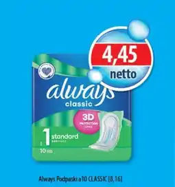 DUO-TES Always Podpaski CLASSIC oferta