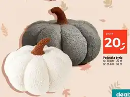 Dealz Poduszka dynia oferta