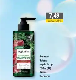 DUO-TES Herbapol Polana mydło do rąk oferta