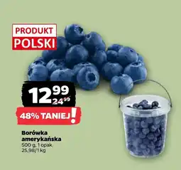 Netto Borówka amerykańska Polski oferta