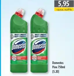 DUO-TES Domestos Pine oferta