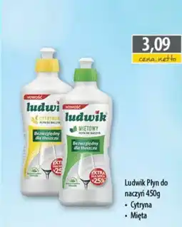 DUO-TES Ludwik Płyn do naczyń oferta