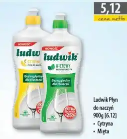 DUO-TES Ludwik Płyn do naczyń oferta