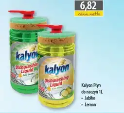DUO-TES Kalyon Płyn do naczyń oferta