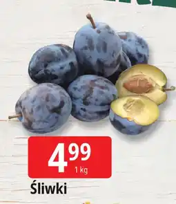 E.Leclerc Śliwki Leclerc oferta