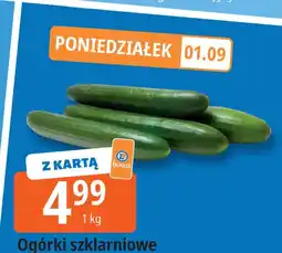 E.Leclerc Ogórki szklarniowe Leclerc oferta