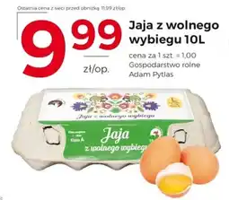 Frac Jaja z wolnego wybiegu 10L oferta