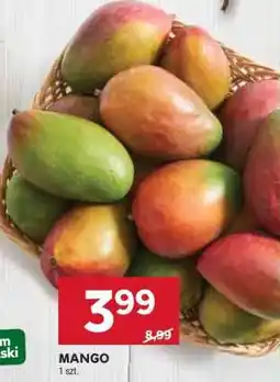 Stokrotka Market Mango oferta