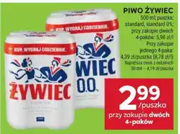 Stokrotka Market Piwo Żywiec oferta