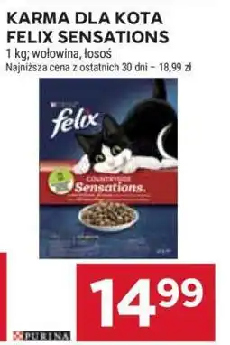 Stokrotka Market Karma dla kota Felix Sensations oferta