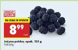 Biedronka Jeżyna polska, opak. 125 g oferta