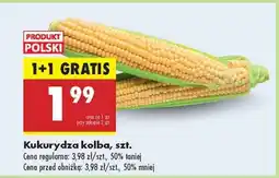Biedronka Kukurydza kolba szt oferta