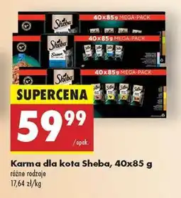 Biedronka Karma dla kota Sheba, 40x85 g oferta