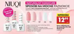 Biedronka Baza witaminowa do paznokci UV/LED Niuqi, 5 ml oferta