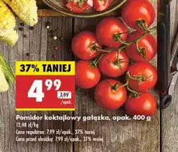 Biedronka Pomidor koktajlowy gałązka opak 400 g oferta