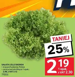 Selgros Sałata Lollo Bionda Selgros oferta