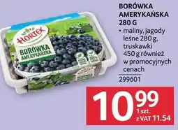 Selgros Borówka amerykańska Selgros oferta