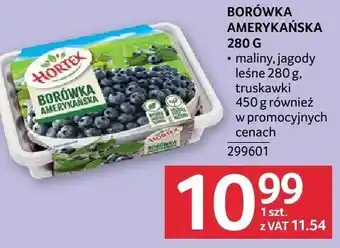Selgros Borówka amerykańska Selgros oferta