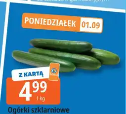 E.Leclerc Ogórek szklarniowy oferta