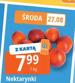 E.Leclerc Nektarynki oferta