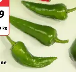Intermarche Papryka pepperoni zielona Intermarche oferta