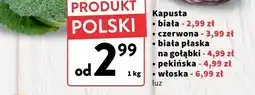Intermarche Kapusta biała płaska na gołąbki luz Intermarche oferta