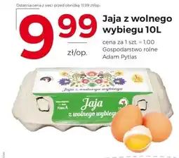 Frac Jaja Pytlas oferta