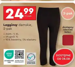 Biedronka Legginsy damskie TEX oferta