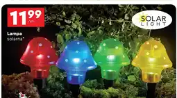 Biedronka Lampa solarna oferta