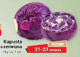 Premium Nasz Sklep Kapusta czerwona oferta