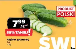 Netto Ogórek gruntowy Netto oferta