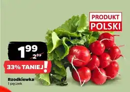Netto Rzodkiewka Netto oferta