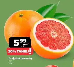 Netto Grejpfrut czerwony Netto oferta