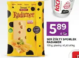 Stokrotka Express Ser żółty spomlek radamer oferta