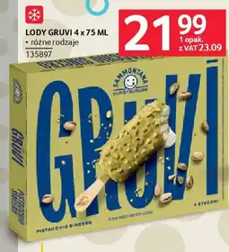 Selgros Sammontana lody gruvi oferta