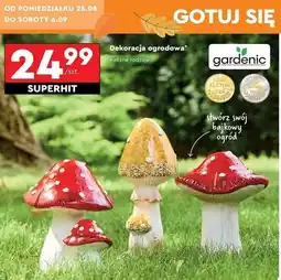 Biedronka Grzybek ceramiczny Gardenic oferta