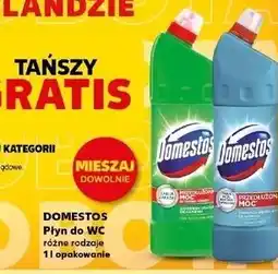 Kaufland Płyn do wc atlantic Domestos oferta