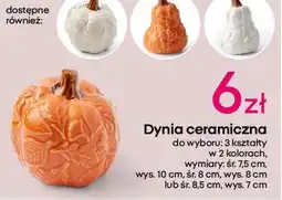 Pepco Dynia ceramiczna oferta