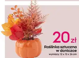 Pepco Roślinka sztuczna w doniczce oferta