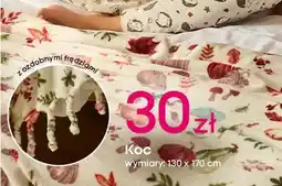 Pepco Koc oferta