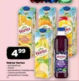 Netto Nektar czarna porzeczka Hortex oferta