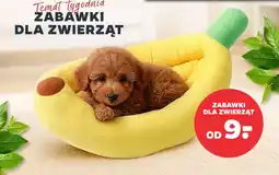 Netto Zabawki dla zwierząt oferta