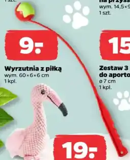 Netto Wyrzutnia z piłką oferta