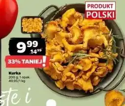 Netto Kurki oferta