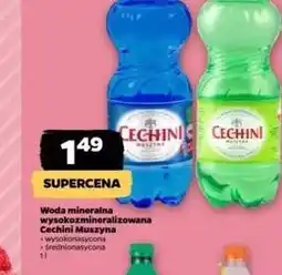 Netto Woda wysokomineralizowana Muszyna Cechini oferta