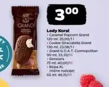 Netto Lód cosmopolitan Koral Grand G.o.a.t oferta