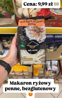 Dino Makaron ryżowy penne bezglutenowy Mr. Ming oferta