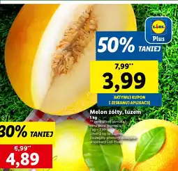 Lidl Melon żółty Lidl oferta