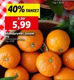 Lidl Mandarynki Lidl oferta